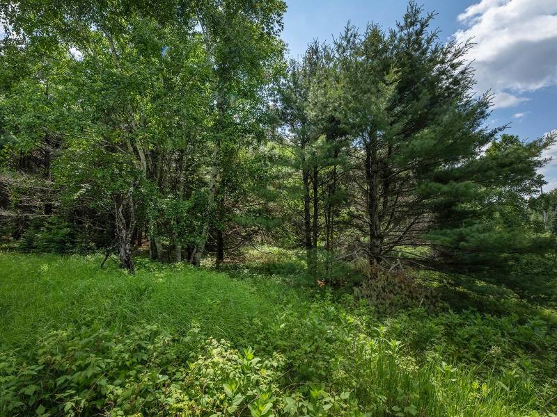 Hwy 45, , Three Lakes,  WI 54562 United States