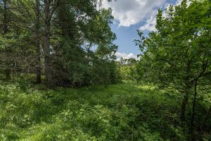 Hwy 45, , Three Lakes,  WI 54562 United States