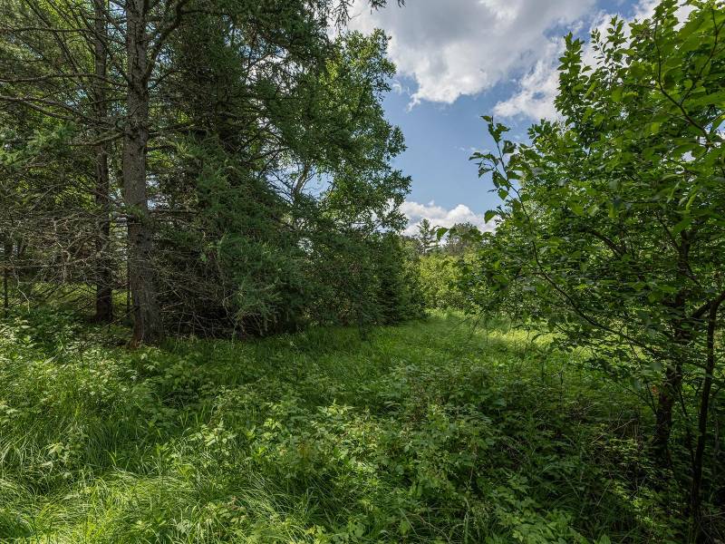 Hwy 45, , Three Lakes,  WI 54562 United States