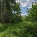 Hwy 45, , Three Lakes,  WI 54562 United States