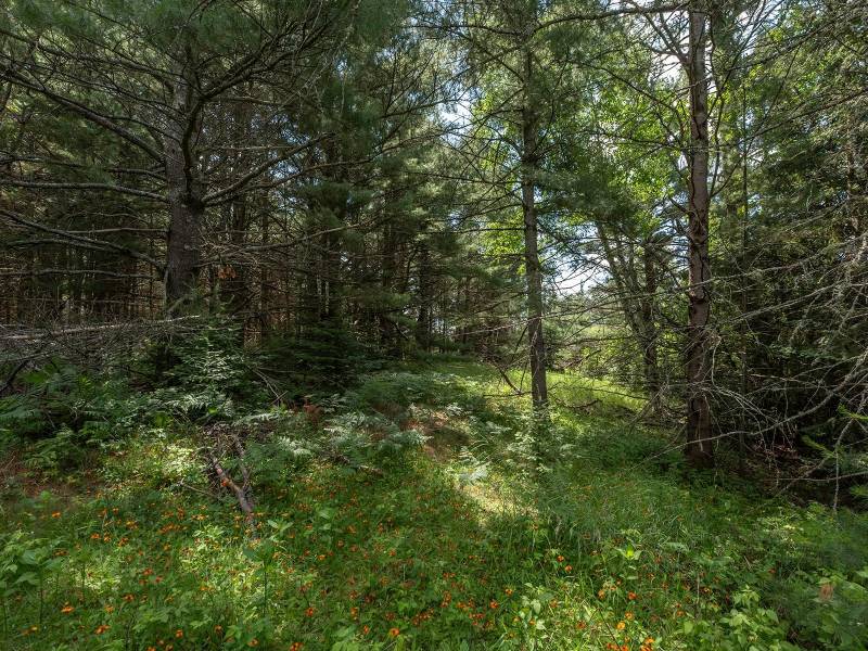 Hwy 45, , Three Lakes,  WI 54562 United States