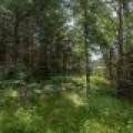 Hwy 45, , Three Lakes,  WI 54562 United States