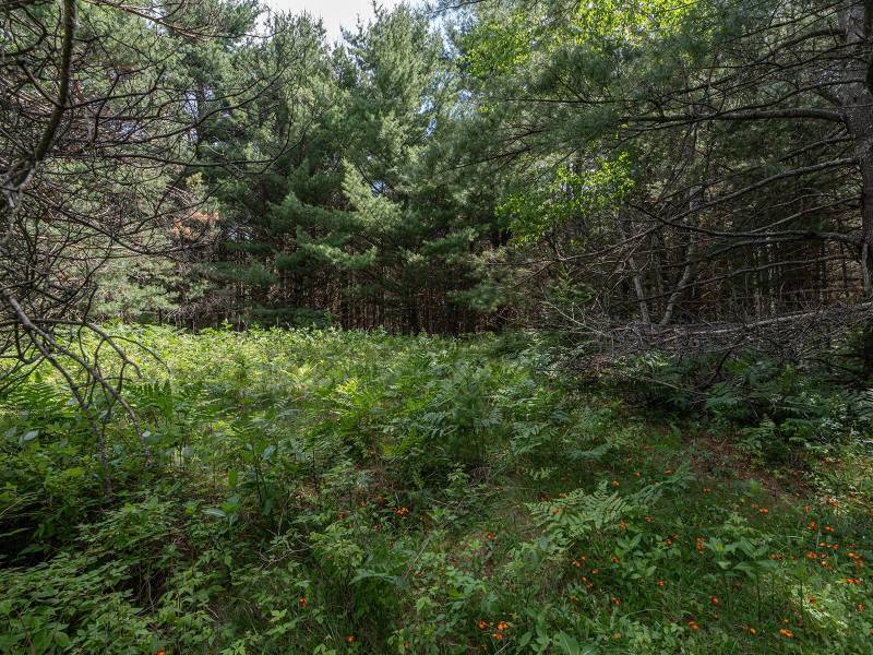 Hwy 45, , Three Lakes,  WI 54562 United States
