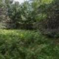 Hwy 45, , Three Lakes,  WI 54562 United States