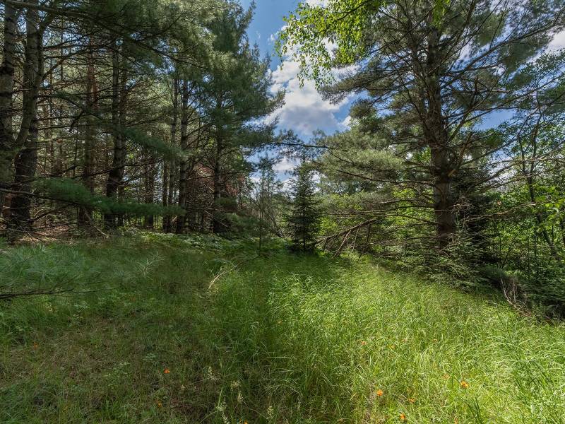 Hwy 45, , Three Lakes,  WI 54562 United States
