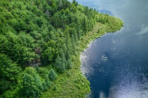 Hwy 45, , Three Lakes,  WI 54562 United States