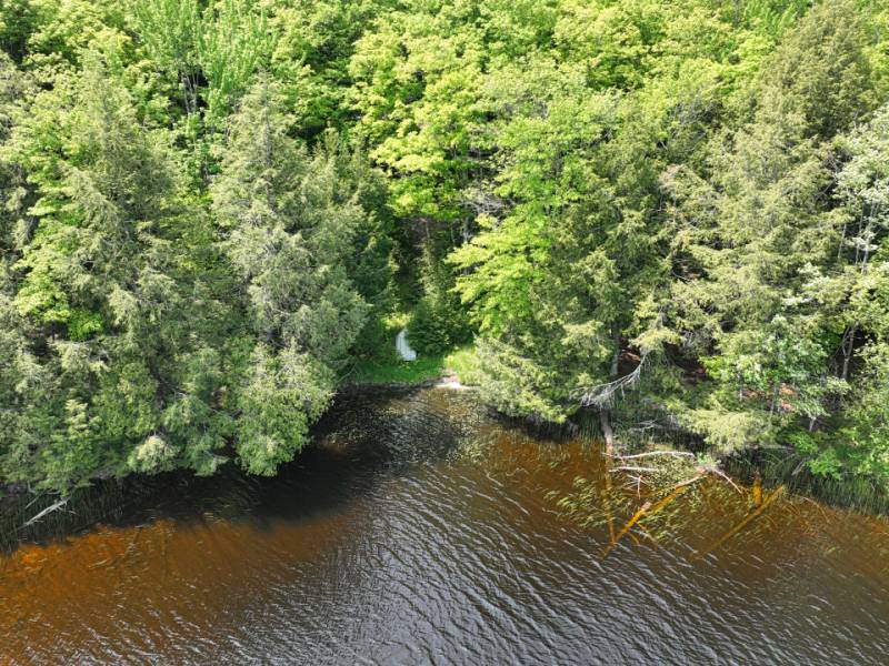 10992 Annabelle Shores Rd, , Presque Isle,  WI 545587 United States