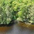 10992 Annabelle Shores Rd, , Presque Isle,  WI 545587 United States