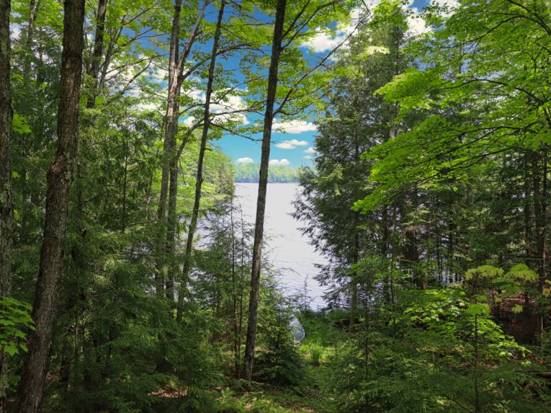 10992 Annabelle Shores Rd, , Presque Isle,  WI 545587 United States