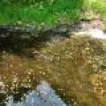 10992 Annabelle Shores Rd, , Presque Isle,  WI 545587 United States