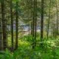 11917 Thoma Dr, , Presque Isle,  WI 54557 United States