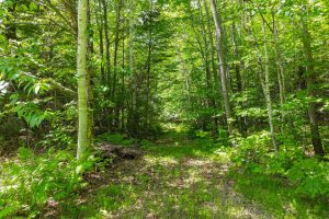 11917 Thoma Dr, , Presque Isle,  WI 54557 United States