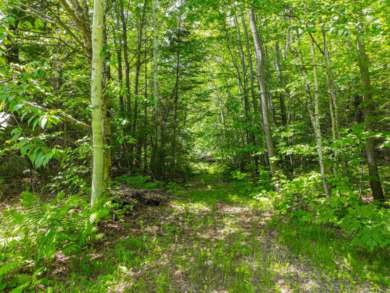 11917 Thoma Dr, , Presque Isle,  WI 54557 United States