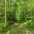 11917 Thoma Dr, , Presque Isle,  WI 54557 United States