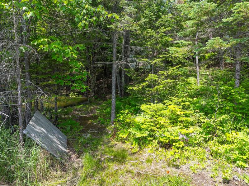 11917 Thoma Dr, , Presque Isle,  WI 54557 United States
