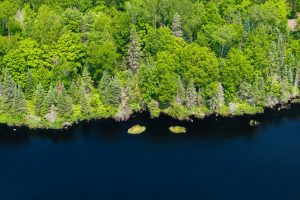 11917 Thoma Dr, , Presque Isle,  WI 54557 United States