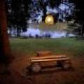 1212 Brandy Lake Rd, , Arbor Vitae,  WI 54568 United States