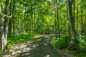 16562 Baker Ln., , Hiles,  WI 54521 United States