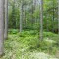 1992 N Farming Rd, , Arbor Vitae,  WI 54568 United States