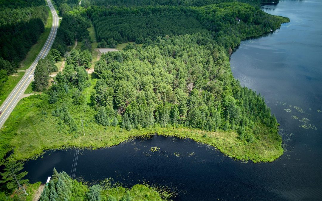 Lot 2 Off Hwy 45, Three Lakes, WI 54562