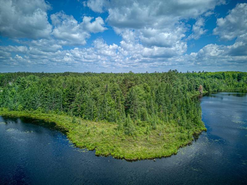 Hwy 45, , Three Lakes,  WI 54562 United States