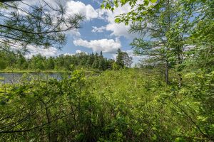 Hwy 45, , Three Lakes,  WI 54562 United States