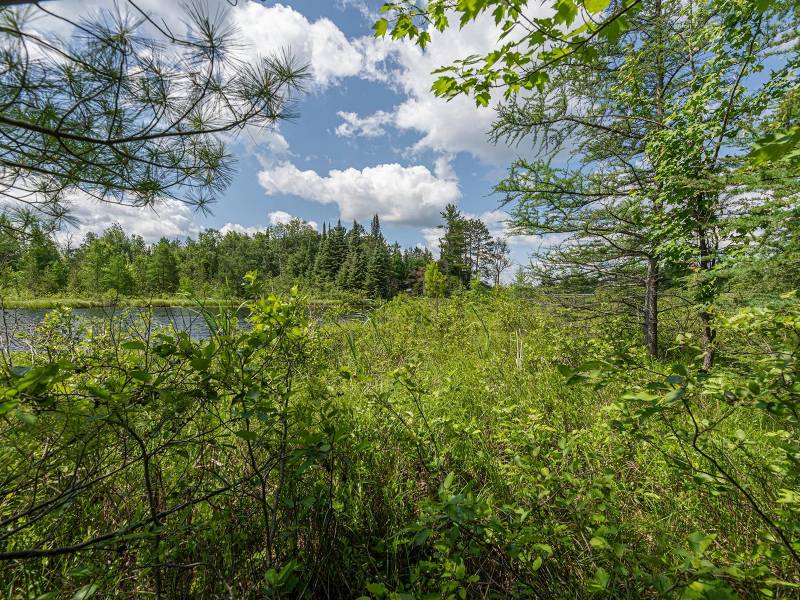 Hwy 45, , Three Lakes,  WI 54562 United States