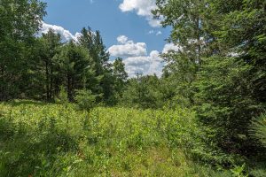 Hwy 45, , Three Lakes,  WI 54562 United States
