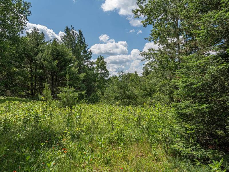 Hwy 45, , Three Lakes,  WI 54562 United States
