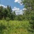 Hwy 45, , Three Lakes,  WI 54562 United States