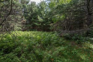 Hwy 45, , Three Lakes,  WI 54562 United States