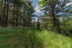 Hwy 45, , Three Lakes,  WI 54562 United States
