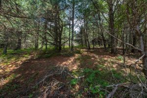 Hwy 45, , Three Lakes,  WI 54562 United States