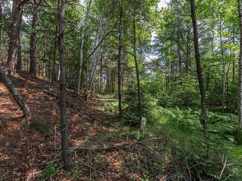 Hwy 45, , Three Lakes,  WI 54562 United States