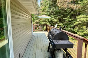 259 Wesley Rd, , Three Lakes,  WI 54562 United States