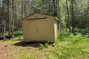 259 Wesley Rd, , Three Lakes,  WI 54562 United States