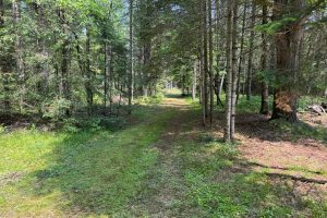 259 Wesley Rd, , Three Lakes,  WI 54562 United States