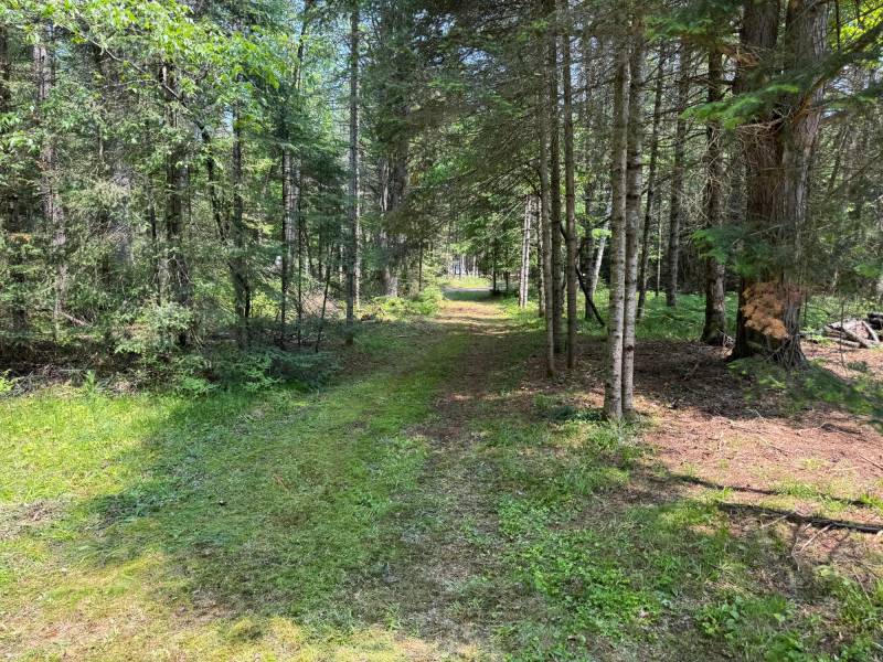 259 Wesley Rd, , Three Lakes,  WI 54562 United States