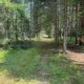 259 Wesley Rd, , Three Lakes,  WI 54562 United States