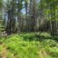 259 Wesley Rd, , Three Lakes,  WI 54562 United States