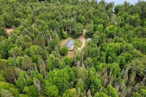 259 Wesley Rd, , Three Lakes,  WI 54562 United States