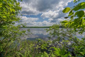 Hwy 45, , Three Lakes,  WI 54562 United States