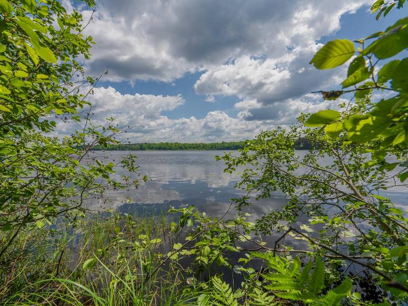 Hwy 45, , Three Lakes,  WI 54562 United States