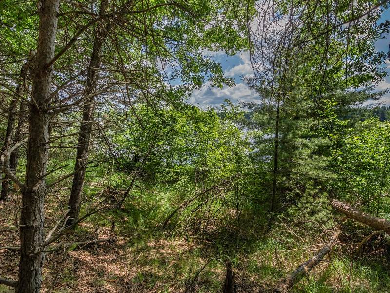 Hwy 45, , Three Lakes,  WI 54562 United States