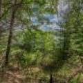Hwy 45, , Three Lakes,  WI 54562 United States