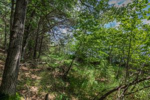 Hwy 45, , Three Lakes,  WI 54562 United States