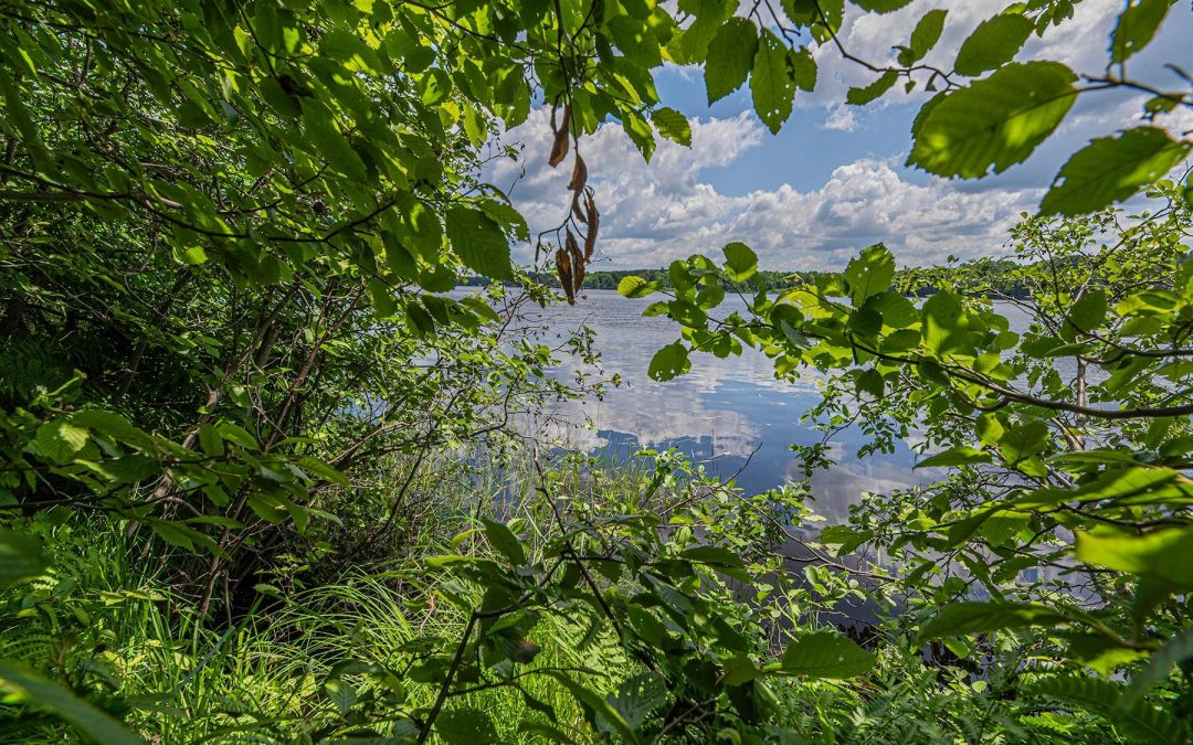 Lot 3 Off Hwy 45, Three Lakes, WI 54562