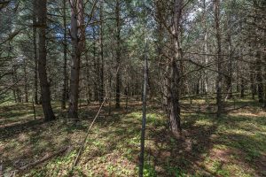 Hwy 45, , Three Lakes,  WI 54562 United States