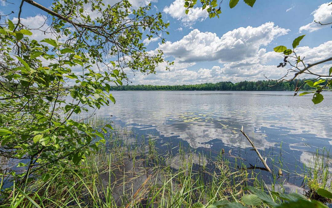 Lot 4 Off Hwy 45, Three Lakes, WI 54562