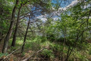 Hwy 45, , Three Lakes,  WI 54562 United States